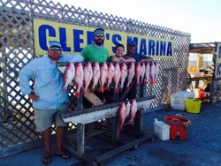 Corpus Christi's Angling Delights